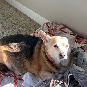 Meet your Posher, Carrie